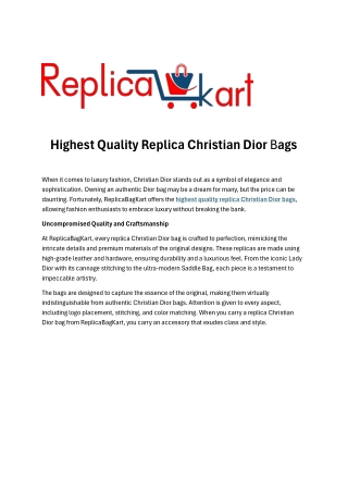 Highest Quality Replica Christian Dior Bags
