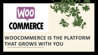Email Customizer and Designer for WooCommerce