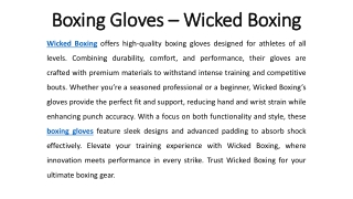 Boxing Gloves - Wicked Boxing