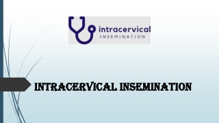 Make A Mom Insemination Kit