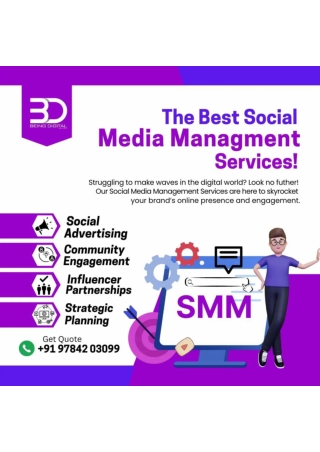 Social Media Marketing Agency in Udaipur