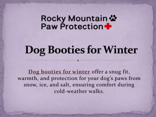 Dog Booties for Winter