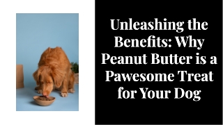 Unleashing the Benefits: Why Peanut Butter is a Awesome Treat for Your Dog