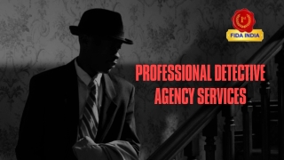 Professional Detective Agency Services