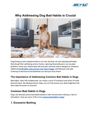 Why Addressing Dog Bad Habits is Crucial
