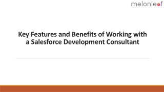 Key Features and Benefits of Working with a Salesforce Dеvеlopmеnt Consultant