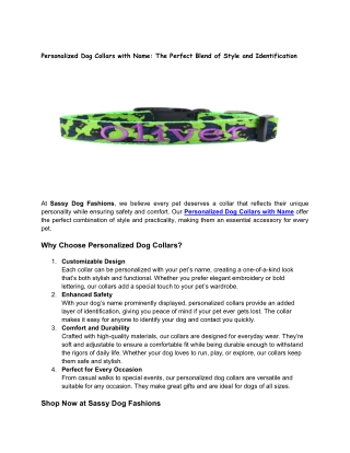 Personalized Dog Collars with Name The Perfect Blend of Style and Identification