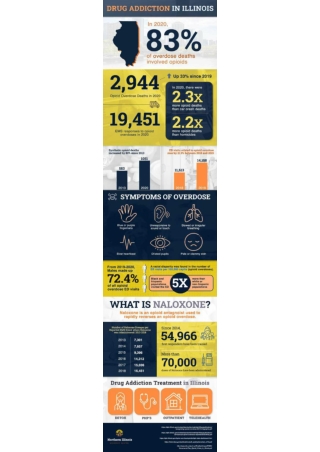Illinois Drug Addiction Statistics