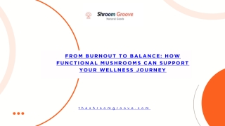 How Functional Mushrooms Can Support Your Wellness Journey