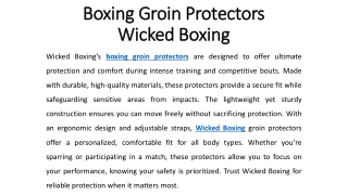 Boxing Groin Protectors - Wicked Boxing