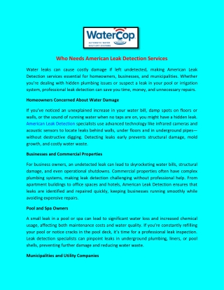 Who Needs American Leak Detection Services