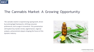 Cannabis Market Strategies and Future Analysis