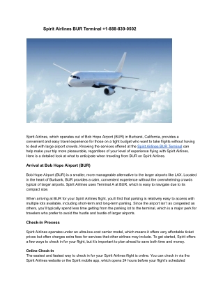 Spirit Airlines BUR Terminal