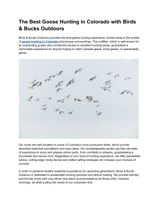 The Best Goose Hunting in Colorado with Birds & Bucks Outdoors