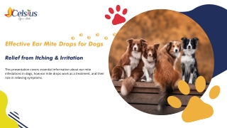 Fast-Acting Ear Mite Drops for Dogs - Celsius Herbs