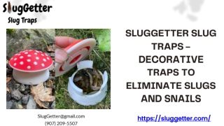 Effective Garden Slug Traps for Pest-Free Plants | SlugGetter Slug Traps