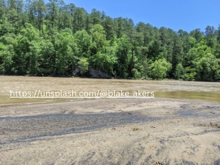 Blake Akers_ I'm the CEO of Webology