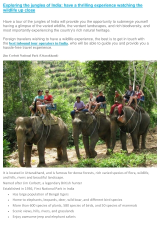 Exploring the jungles of India: have a thrilling experience watching the wildlif
