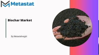 Biochar Market