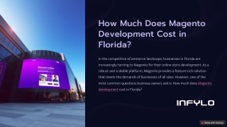 How Much Does Magento Development Cost in Florida? (2024 Guide)