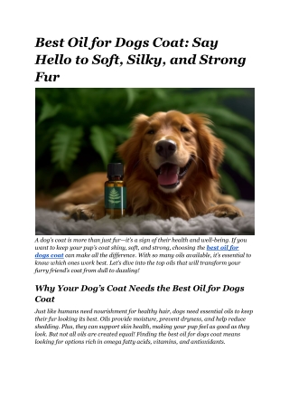 Best Oil for Dogs Coat_ Say Hello to Soft, Silky, and Strong Fur