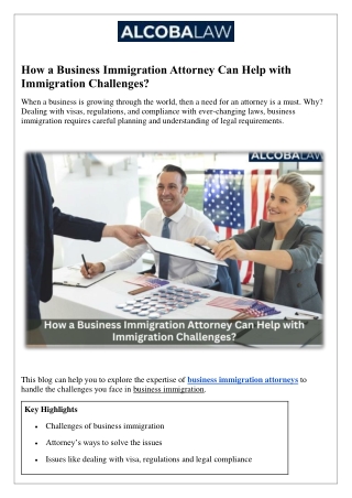 How a Business Immigration Attorney Can Help with Immigration Challenges?