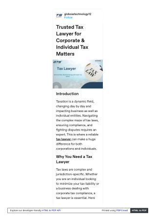 Trusted Tax Lawyer for Corporate & Individual Tax Matters