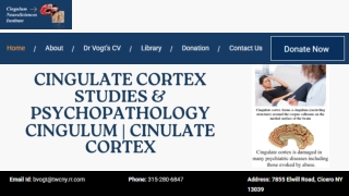 Movement and Cingulate Motor Areas in Pain Processing