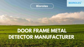 Door Frame Metal Detector manufacturer