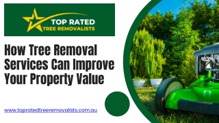 How Tree Removal Services Can Improve Your Property Value