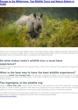 Escape to the Wilderness: Top Wildlife Tours and Nature Safaris in India!