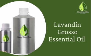 Lavandin Grosso Essential Oil: Natures Natural India