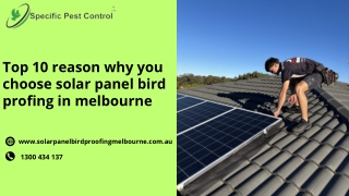 Top 10 reason why you choose solar panel bird profing in melbourne