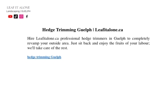 Hedge Trimming Guelph  Leafitalone.ca
