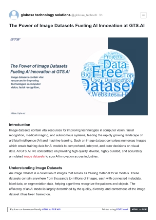 The Power of Image Datasets Fueling AI Innovation at GTS.AI