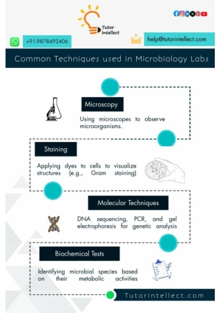 Common Techniques Used in Microbiology Labs