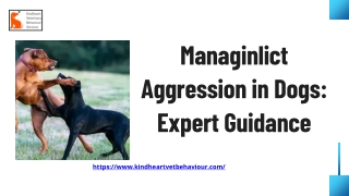 Managinlict Aggression in Dogs Expert Guidance