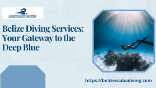 Belize Diving Services Your Gateway to the Deep Blue