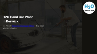 Steam Car Cleaning in Officer