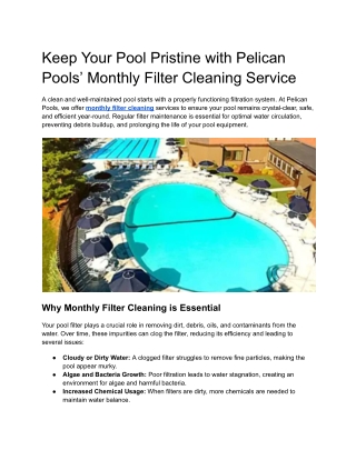 Keep Your Pool Pristine with Pelican Pools’ Monthly Filter Cleaning Service