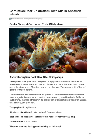 Scuba Diving at Corruption Rock dive site, Chidiyatapu
