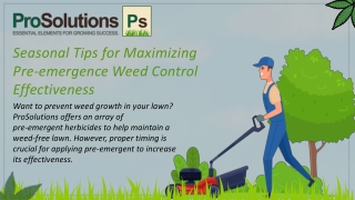 Prevent Weeds, Promote Growth – ProSolutions Has Your Lawn Care Covered!
