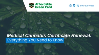 Understanding Legal Marijuana Treatment Access