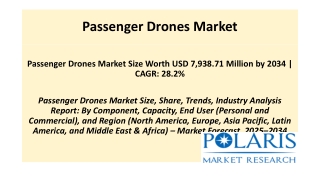 Passenger Drones Market