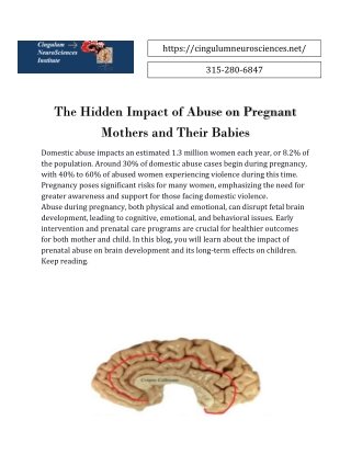 The Hidden Impact of Abuse on Pregnant Mothers and Their Babies