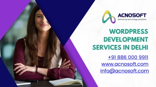 WordPress development services in Delhi