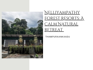 Nelliyampathy Forest Resorts A Calm Natural Retreat