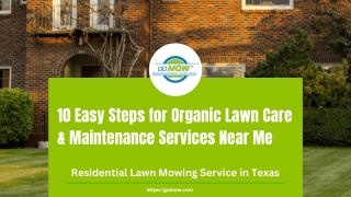 10 Easy Steps for Organic Lawn Care & Maintenance Services Near Me