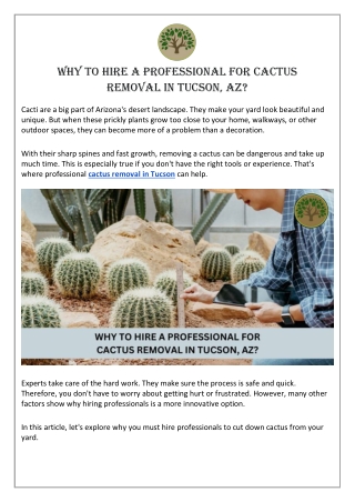 Why To Hire a Professional for Cactus Removal in Tucson AZ