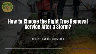 How to Choose the Right Tree Removal Service After a Storm (1)